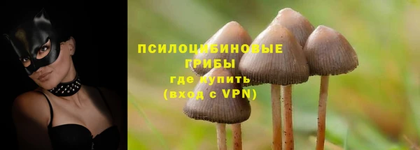МДПВ Алексеевка