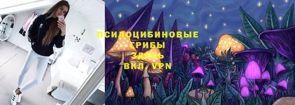 МДПВ Алексеевка
