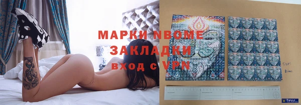 кокс Алексин