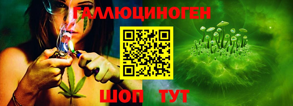 Псилоцибиновые грибы MAGIC MUSHROOMS  Галлюциногенные грибы Cubensis  Ачинск  Вход с VPN 